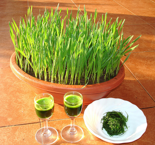 Green Superfoods That Are Also Anti-Aging